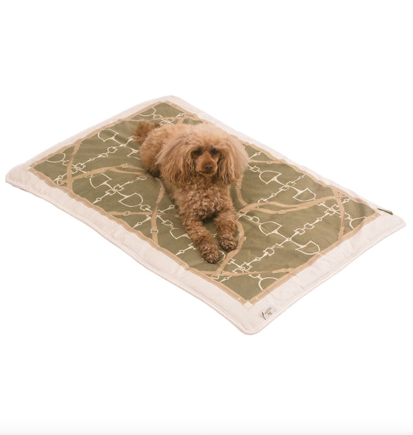 Reversible & Luxurious Day Bed for Pets and Babies – celadon light green.