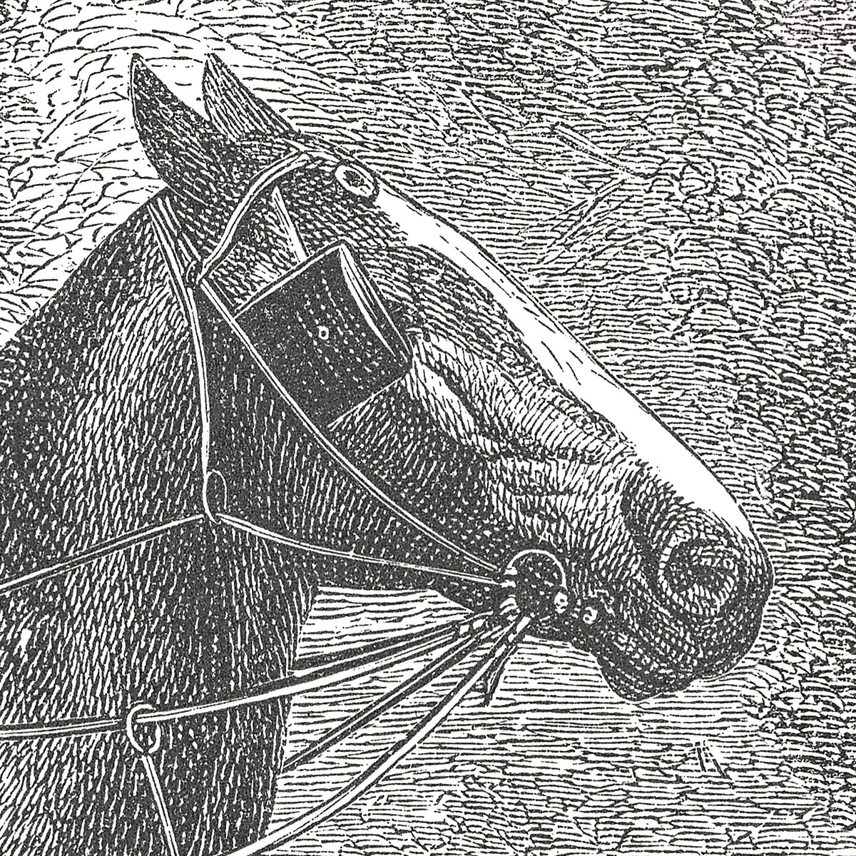 17-09-033-00 Horses Breeds Mural
