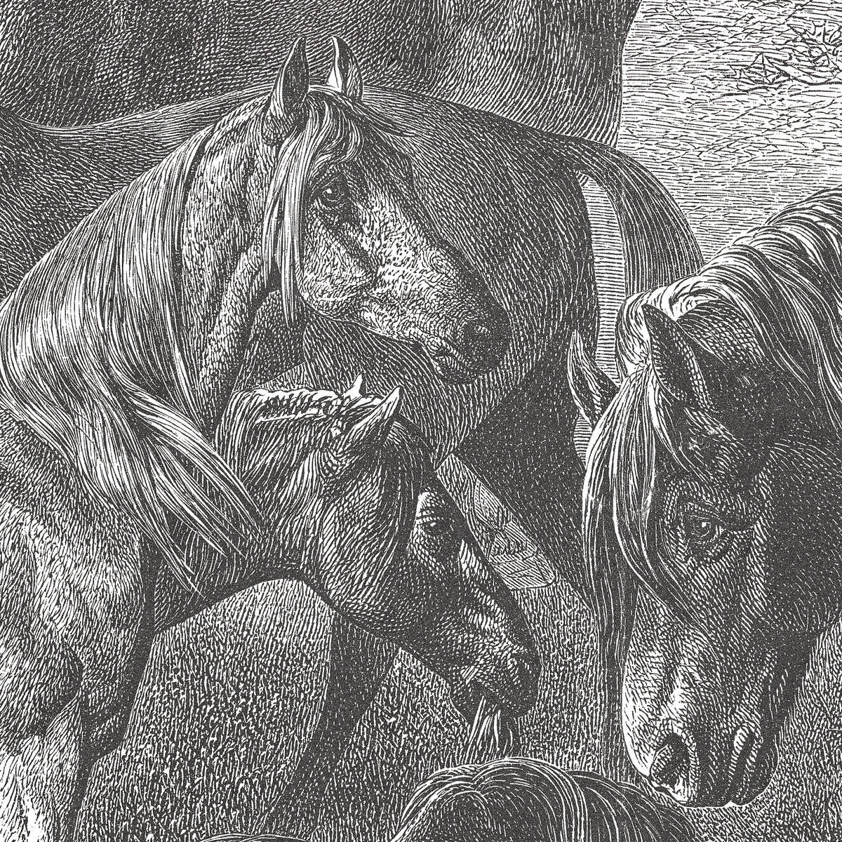 17-09-033-00 Horses Breeds Mural
