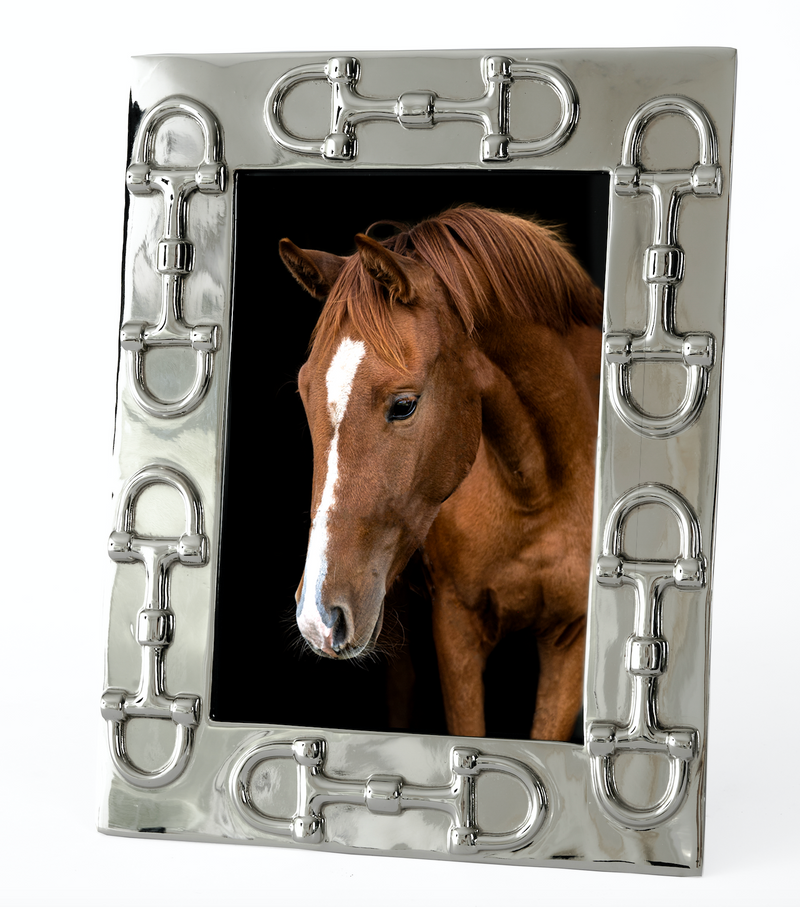 Snaffle Bit Frame